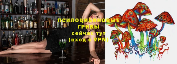 винт Арсеньев