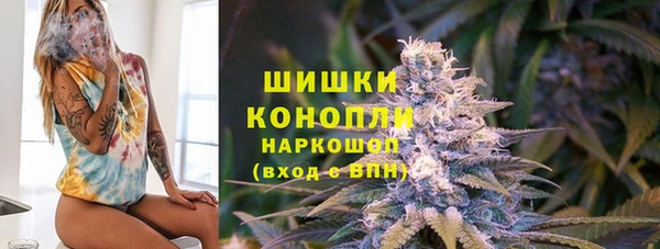 винт Арсеньев