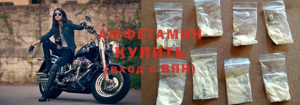 индика Заводоуковск