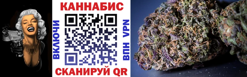 Каннабис планчик  магазин продажи   Мураши 